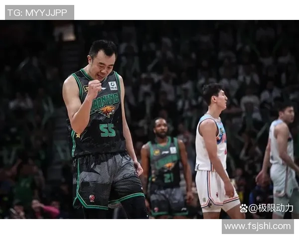 辽宁对阵新疆精彩回放12月27日比赛全程录像回顾与分析