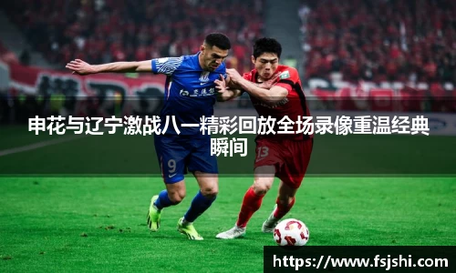 申花与辽宁激战八一精彩回放全场录像重温经典瞬间